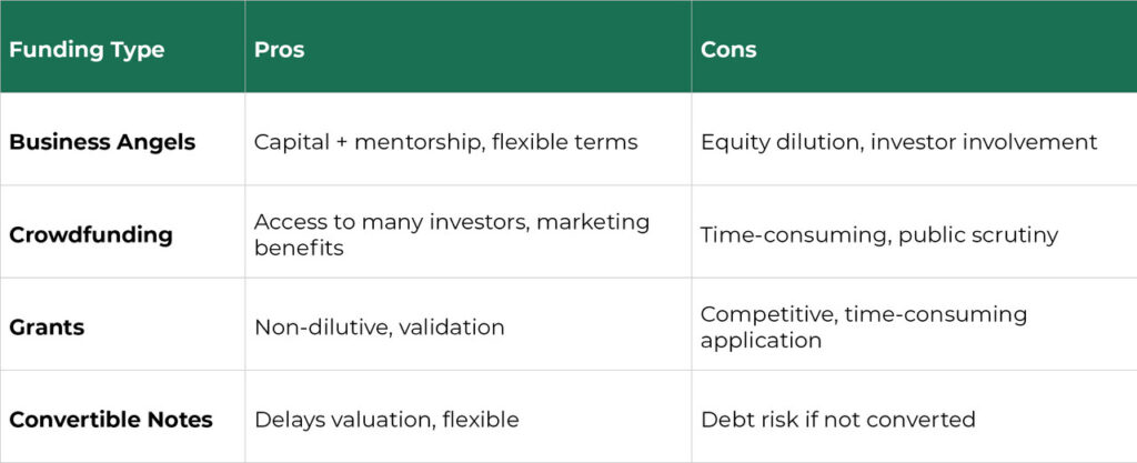 Pros and Cons of Seed Funding Options